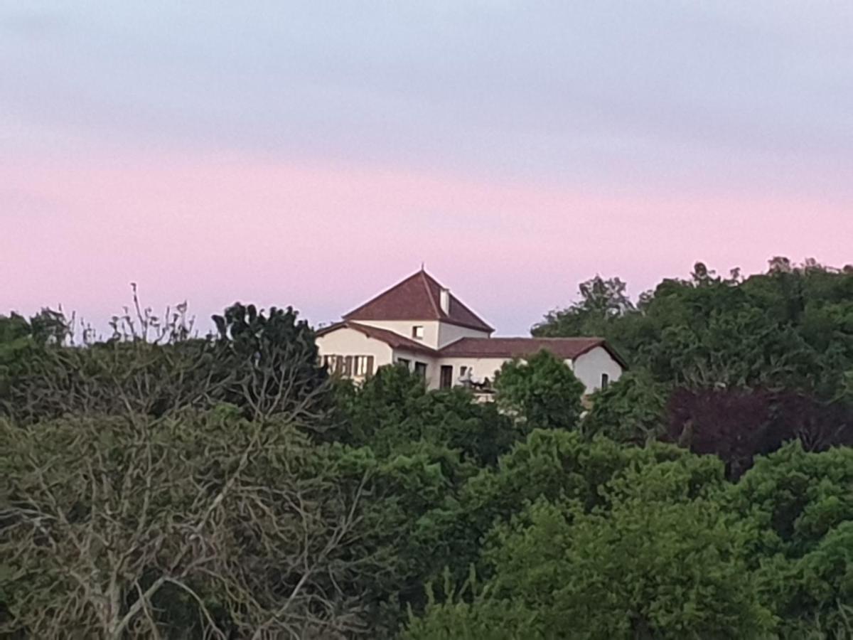 Le Point De Vue Appartement *